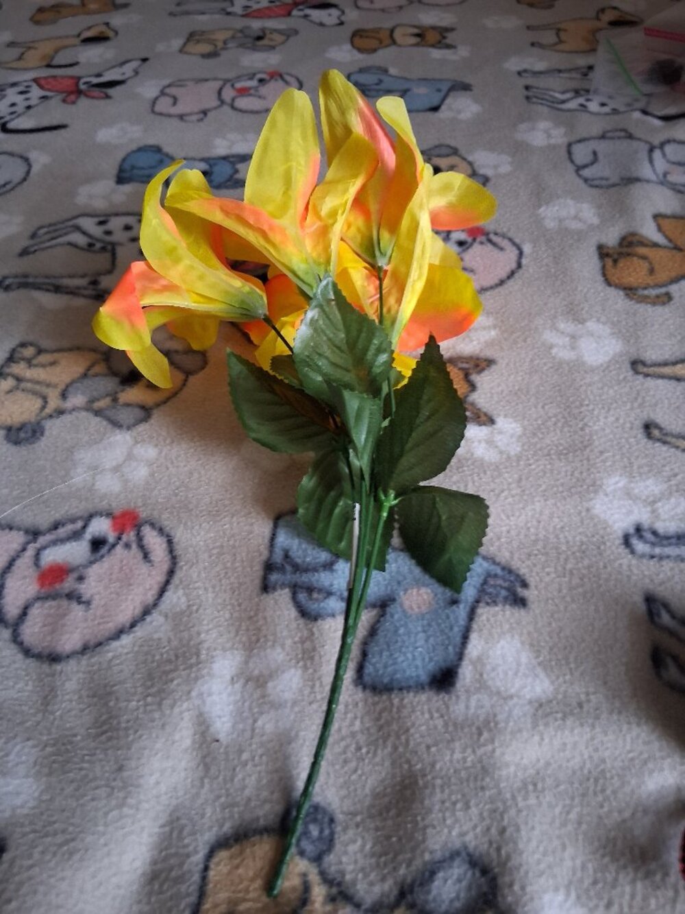 yellow flower